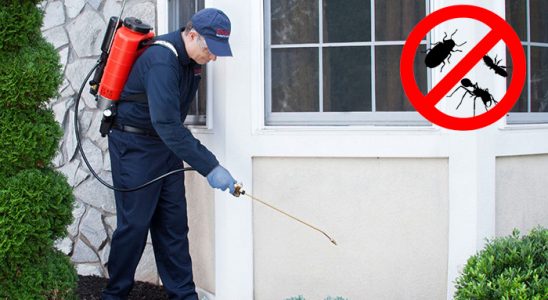 Düzce Karınca İlaçlama böcek ilaçlama ve haşere kontrolü — ilaclama-tr.com